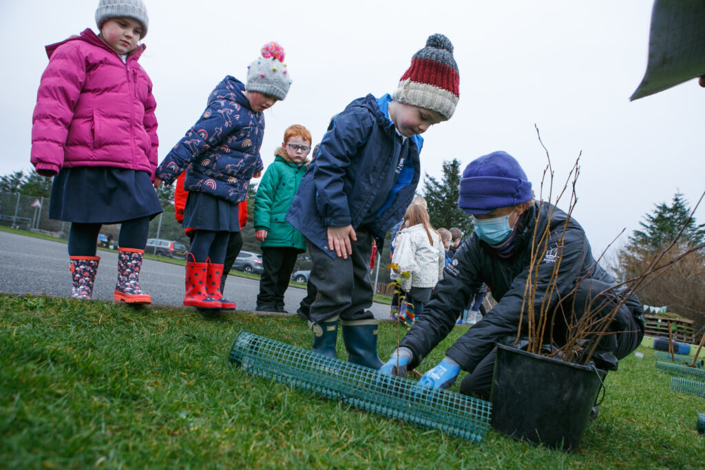 Trees for Primary Schools | Point and Sandwick Trust